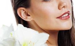 野花影视在线观看免费高清完整版韩国